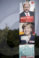 NEWS - Wahlen in Deutschland: Plakate