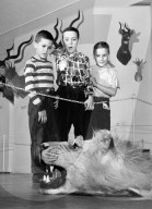 FEATURE - Kurioses zum Welt-Löwen-Tag