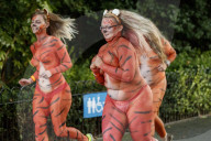 FEATURE - 'Streak for Tigers': Nackte Tiger für den London Zoo