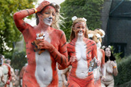 FEATURE - 'Streak for Tigers': Nackte Tiger für den London Zoo