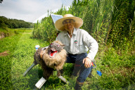 FEATURE - Japan: 'Super Monster Wolf' Roboter soll Farmtiere schützen