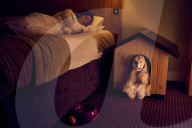 FEATURE - In diesem Hotel fühlen sich auch Hunde wohl