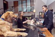 FEATURE - In diesem Hotel fühlen sich auch Hunde wohl