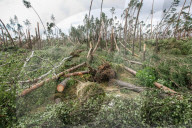NEWS - Sturm zieht Ã¼ber Polen