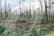 NEWS - Sturm zieht Ã¼ber Polen