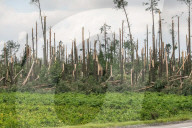 NEWS - Sturm zieht Ã¼ber Polen