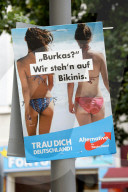 NEWS - Deutschland: AfD Wahlplakate