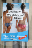 NEWS - Deutschland: AfD Wahlplakate