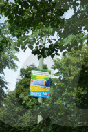 NEWS - Deutschland: AfD Wahlplakate