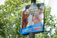 NEWS - Deutschland: AfD Wahlplakate