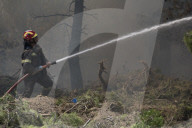 NEWS - Griechenland: LÃ¶scharbeiten bei Waldbrand um Athen