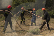 NEWS - Griechenland: LÃ¶scharbeiten bei Waldbrand um Athen