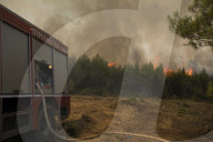 NEWS - Griechenland: LÃ¶scharbeiten bei Waldbrand um Athen