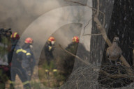 NEWS - Griechenland: LÃ¶scharbeiten bei Waldbrand um Athen