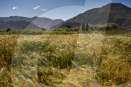FEATURE - Tibet: Land und Leute