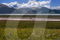 FEATURE - Tibet: Land und Leute