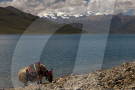 FEATURE - Tibet: Land und Leute