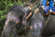 FEATURE - Nepal: Land und Leute