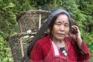 FEATURE - Nepal: Land und Leute