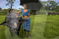 FEATURE - Nepal: Land und Leute