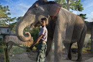 FEATURE - Nepal: Land und Leute