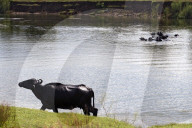 FEATURE - Nepal: Land und Leute
