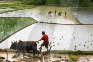 FEATURE - Nepal: Land und Leute