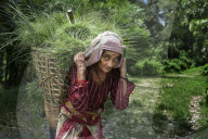 FEATURE - Nepal: Land und Leute
