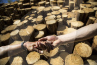 FEATURE - Polen:  Protest gegen illegales Holzfällen