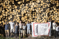 FEATURE - Polen:  Protest gegen illegales Holzfällen