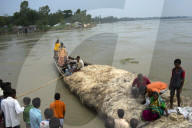 NEWS - Bangladesch: Alltag nach der Ãœberschwemmung