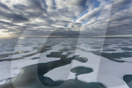 FEATURE - Eisbär voraus