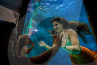 FEATURE - Meerjungfrauen Show im Aquarium von Sao Paulo