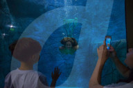 FEATURE - Meerjungfrauen Show im Aquarium von Sao Paulo