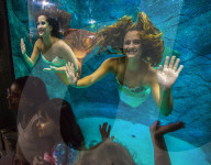 FEATURE - Meerjungfrauen Show im Aquarium von Sao Paulo