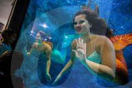 FEATURE - Meerjungfrauen Show im Aquarium von Sao Paulo