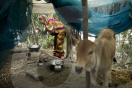 NEWS - Bangladesh: Leben mit dem Hochwasser