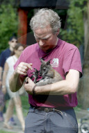 FEATURE - Münster: Tierpfleger zieht Känguru-Baby mit der Flasche auf