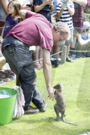 FEATURE - Münster: Tierpfleger zieht Känguru-Baby mit der Flasche auf