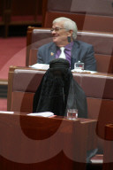 NEWS - Canberra: Pauline Hanson sitzt aus Protest mit Burka im Parlament
