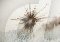 FEATURE - Die Bilder der Woche