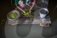 NEWS - Bangladesch: Überschwemmungen in Gaibandha