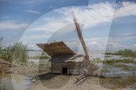 NEWS - Bangladesch: Überschwemmungen in Gaibandha
