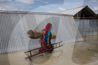 NEWS - Bangladesch: Überschwemmungen in Gaibandha