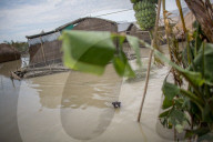 NEWS - Bangladesch: Überschwemmungen in Gaibandha