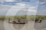 NEWS - Bangladesch: Überschwemmungen in Gaibandha