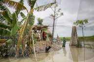 NEWS - Bangladesch: Überschwemmungen in Gaibandha