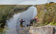 NEWS - Dänemark: Mord an Journalistin: Sucharbeiten im Fluss