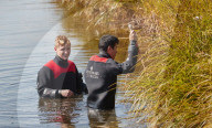 NEWS - Dänemark: Mord an Journalistin: Sucharbeiten im Fluss