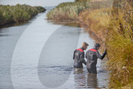 NEWS - Dänemark: Mord an Journalistin: Sucharbeiten im Fluss
